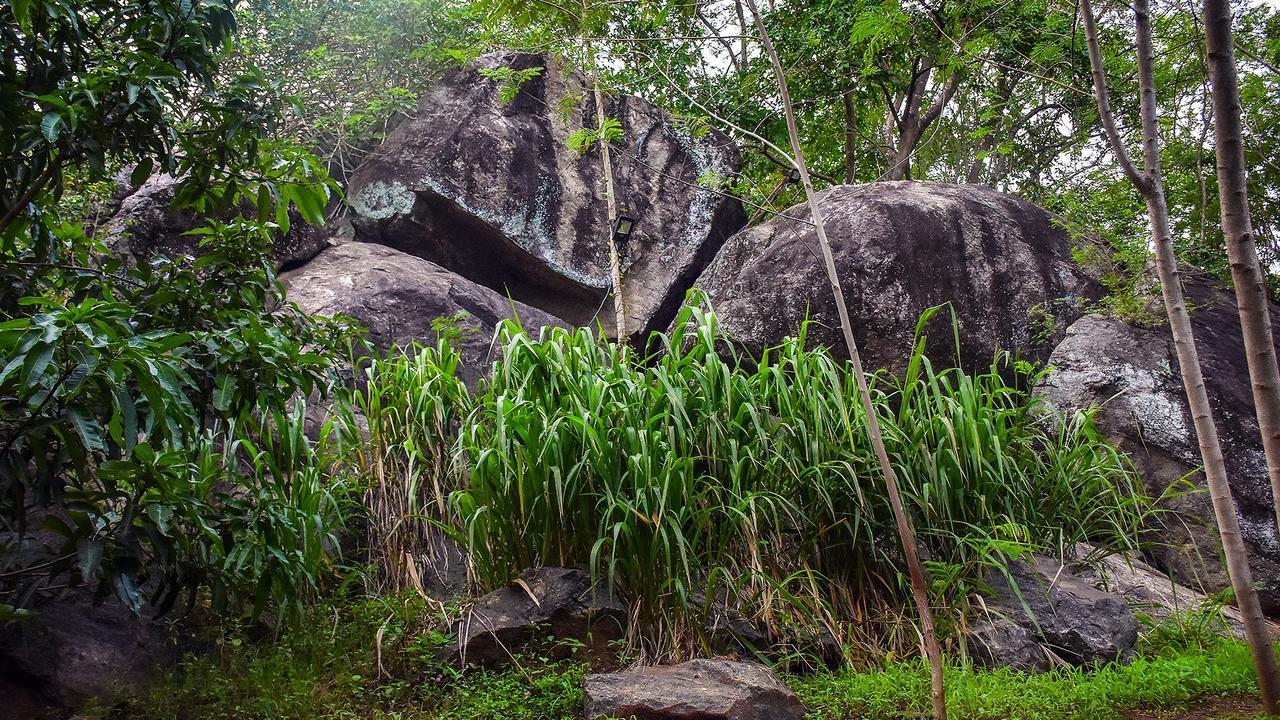 River Glamping By Gaga Bees Udawalawe Exterior photo